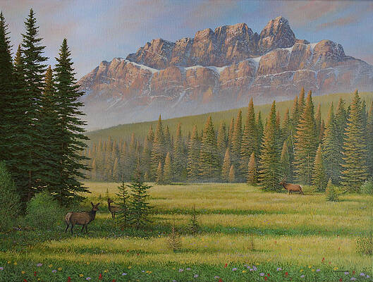 Wall Art - Painting - Sunlight and Shadow by Jake Vandenbrink