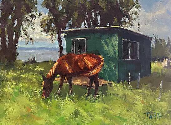 Wall Art - Painting - Sonnys Bluff by Laura Toth