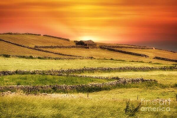 Wall Art - Photograph - Sunrise at the Old Stone Shed by Marco Sales Photography