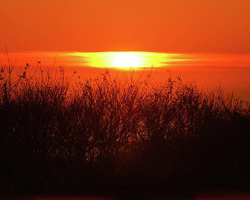 Sunset by Anna Marten Miro Sunset by Anna Marten Miro