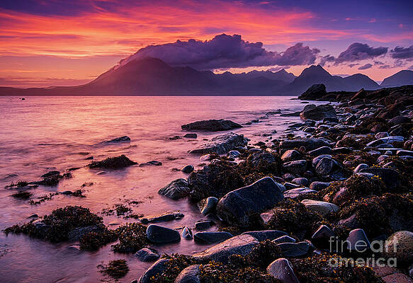 Sunset at Elgol by David Lichtneker Sunset at Elgol by David Lichtneker
