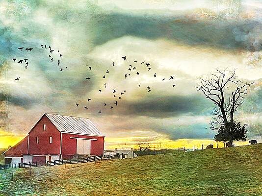 Sunset At The Red Barn by Kathy Jennings Sunset At The Red Barn by Kathy Jennings