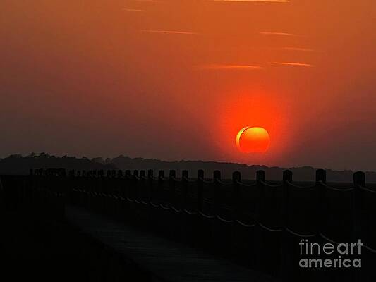Wall Art featuring the photograph Sunset Evening by Catherine Wilson