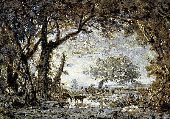 Dark Forest Paintings Fine Art America