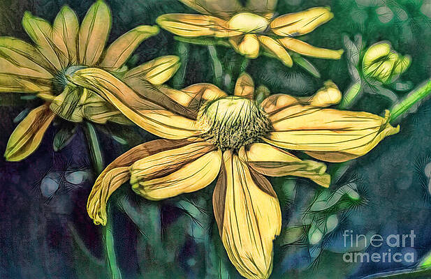 Wall Art - Digital Art - Sunset Healing by Macro Abundance Art