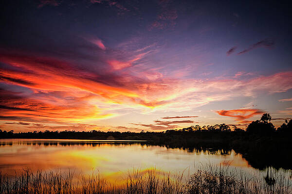 Sunset in Red by Fran Gallogly Sunset in Red by Fran Gallogly