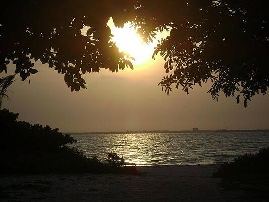 Sunset by Gina Jerome