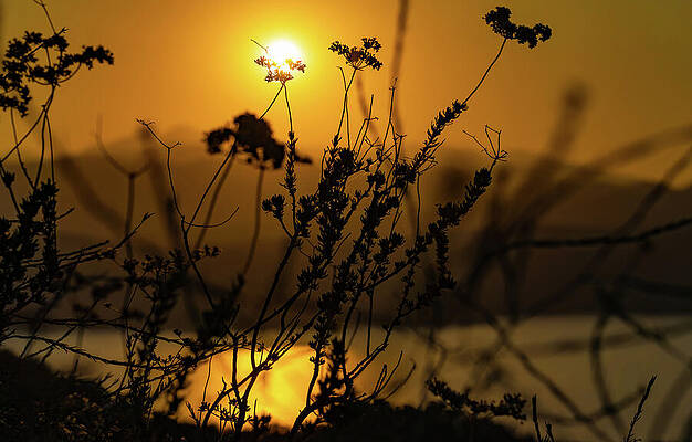 Nature Wall Art featuring the photograph Sunset On Castaic Lake by Tommy Farnsworth