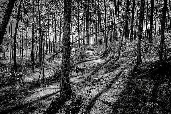 Sunset Trail Hike by David Quillman Sunset Trail Hike by David Quillman