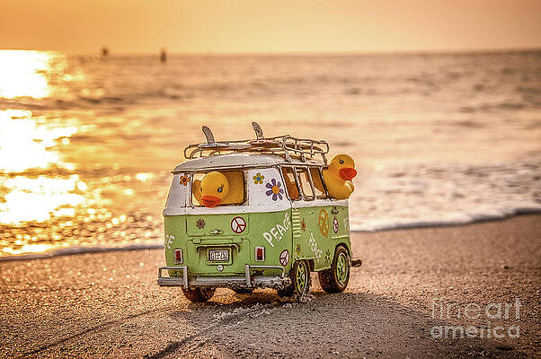 Surf's Up by John Hartung ArtThatSmiles com Surf's Up by John Hartung ArtThatSmiles com