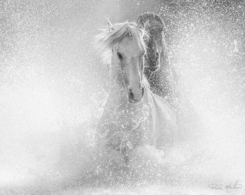 Wall Art - Photograph - Surreal Chase in Dynamic Greyscale. by Paul Martin
