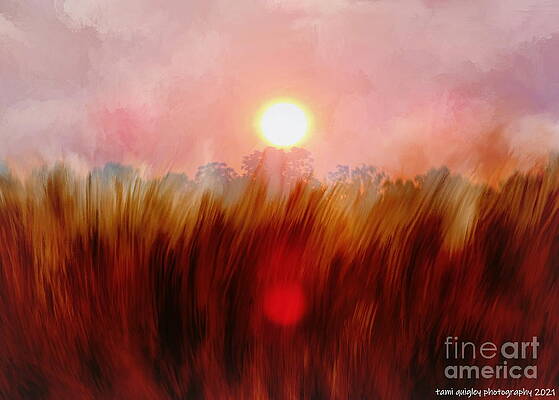 Surreal Sunflare Field by Tami Quigley Surreal Sunflare Field by Tami Quigley