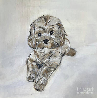 Sweetie by Susanna Schorr Sweetie by Susanna Schorr