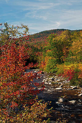 Swift River White Mountain National Forest by John Rowe Swift River White Mountain National Forest by John Rowe