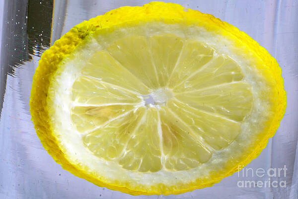 Swimming Citrus 01 by Torfinn Johannessen Swimming Citrus 01 by Torfinn Johannessen