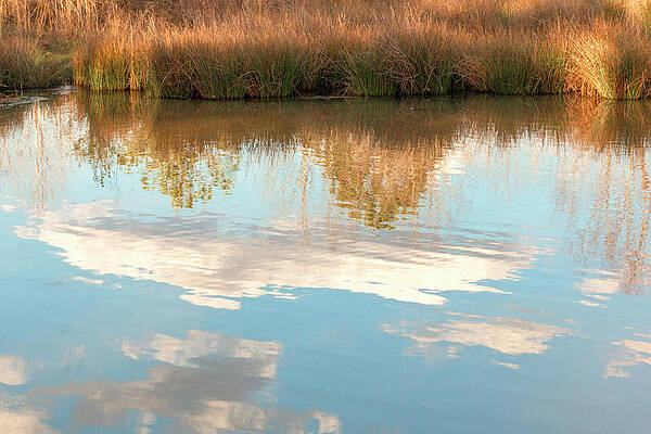 Swimming Clouds by Barry A Noland Swimming Clouds by Barry A Noland