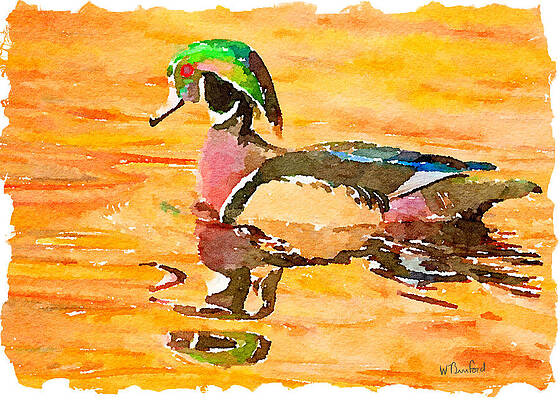 Swimming by Wade Binford Swimming by Wade Binford