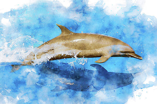 Swimming With Dolphins Paintings for Sale - Fine Art America