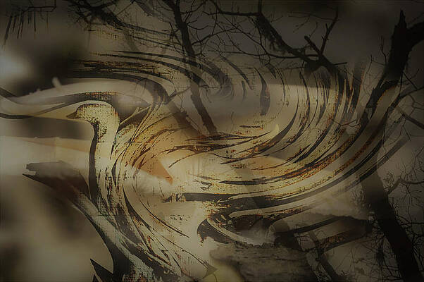 SwirlBird by David Michael-Baldwin