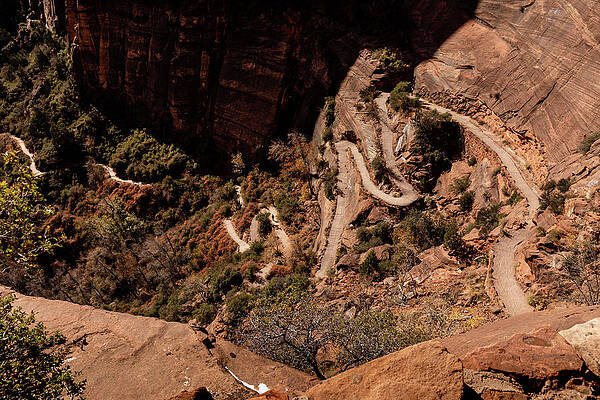 Wall Art - Photograph - Switchbacks on the Angels Landing Trail by Craig A Walker