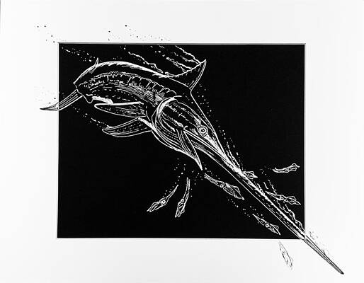 Swordfish and Squid by Mark Ray Swordfish and Squid by Mark Ray