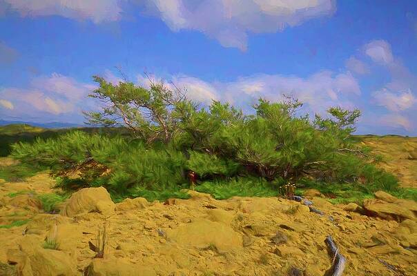 Tablelands I, Gros Morne, NL by Peter Harris