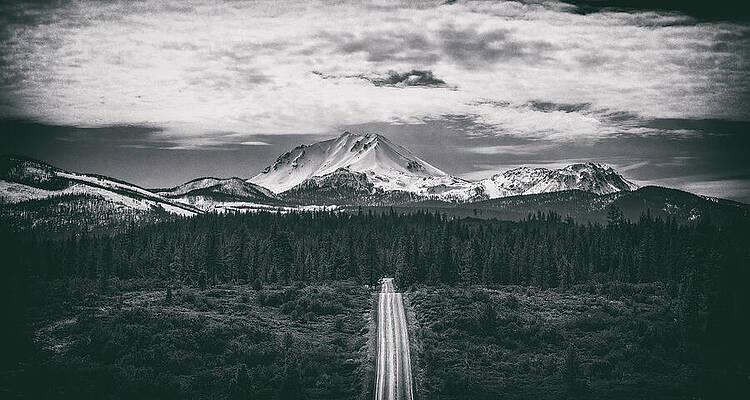 Taking The Long Way Home by Marnie Patchett