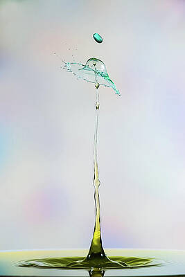 Wall Art - Photograph - Tall Lady by Sue Leonard