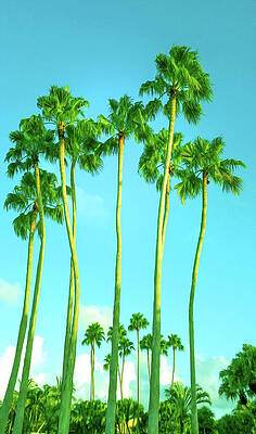 Tall Palm Trees by Laura Fasulo Tall Palm Trees by Laura Fasulo