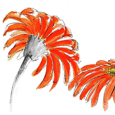 Tangerine Grey IV by Chris Paschke Tangerine Grey IV by Chris Paschke