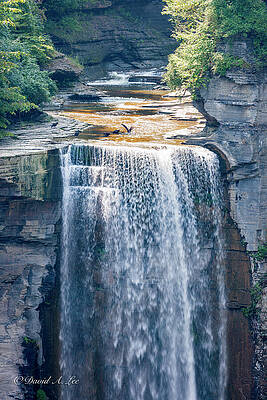Wall Art - Photograph - Taughannock Falls #3 by David Lee