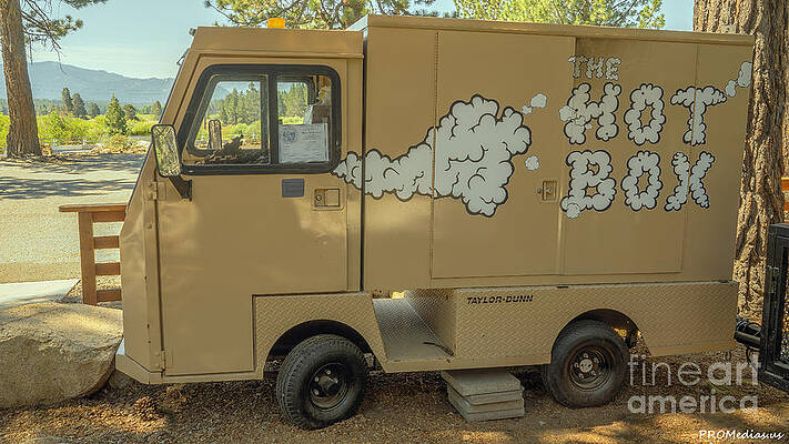 Taylor-Dunn electric airport baggage vehicle used for a mobile pizza oven by PROMedias Obray Taylor-Dunn electric airport baggage vehicle used for a mobile pizza oven by PROMedias Obray