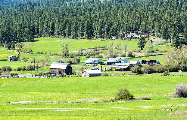 Wall Art - Photograph - Teanaway Ranches by Tom Cochran