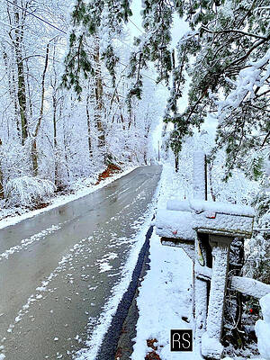 Tennessee on a beautiful New Year's Day by Rafael Salazar Tennessee on a beautiful New Year's Day by Rafael Salazar