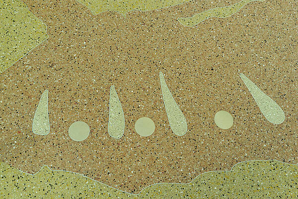 Terrazzo Abstracts - Modern Curvilinear Design of Classical Venetian Pavement by Georgia Mizuleva Terrazzo Abstracts - Modern Curvilinear Design of Classical Venetian Pavement by Georgia Mizuleva