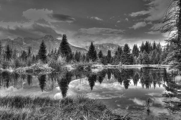 Wall Art - Photograph - Teton Reflection by David Armstrong