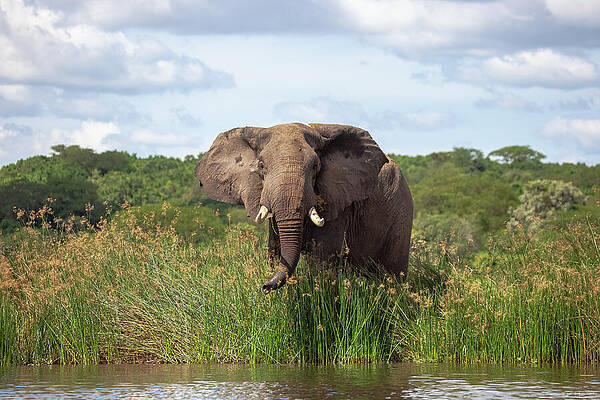 That is Close Enough by Rick Furmanek That is Close Enough by Rick Furmanek