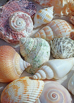 Wall Art - Photograph - The Art of Their Presence by Kathi Mirto