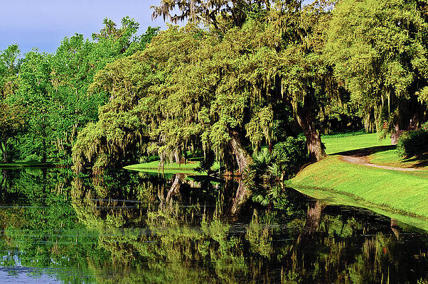 The Ashley River by Louis Dallara The Ashley River by Louis Dallara