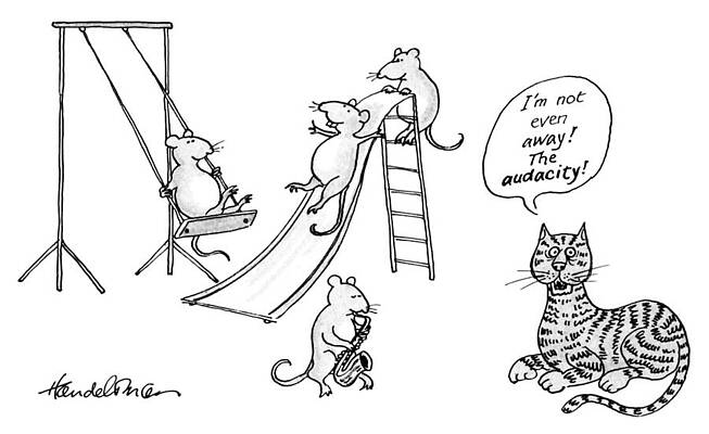 The New Yorker Book of Cat Cartoons: Written by New Yorker