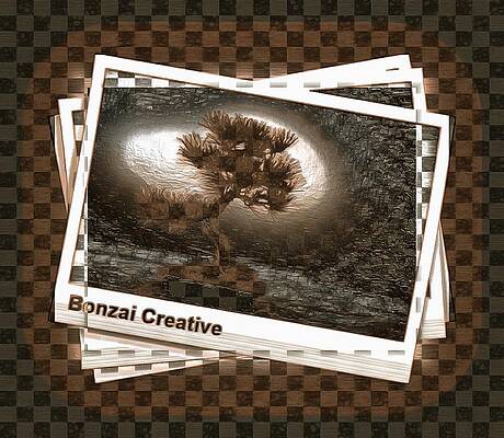The Bonzai Effect by Mario Carini The Bonzai Effect by Mario Carini