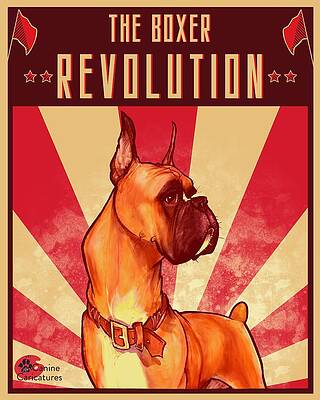 The Boxer Revolution by John LaFree The Boxer Revolution by John LaFree