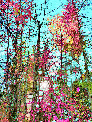 The Colour Flow of the Forest by Tara Turner The Colour Flow of the Forest by Tara Turner