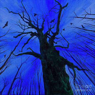 The Crows Nest by Garry McMichael The Crows Nest by Garry McMichael
