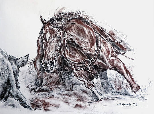 Buy Horse Art Pen and Ink Horse Print Western Paintinggift for Online in  India  Etsy