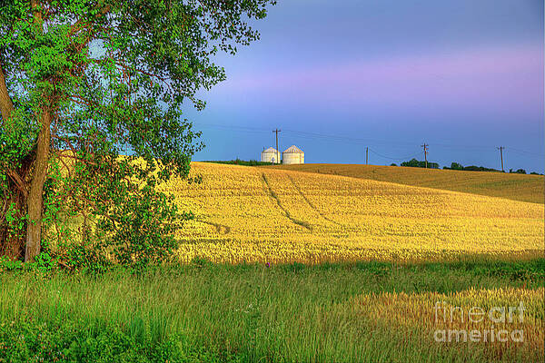 The Earth Slopes Downward by Larry Braun The Earth Slopes Downward by Larry Braun