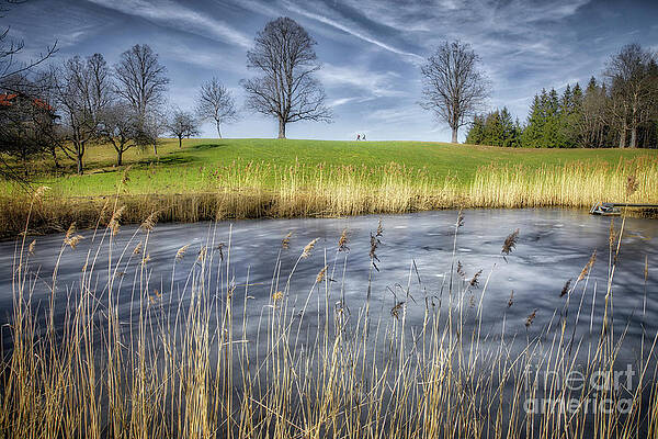 The Frozen Pond by Edmund Nagele The Frozen Pond by Edmund Nagele