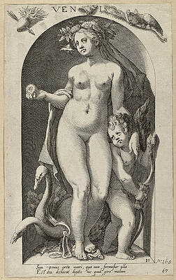 The goddess Venus Print by Nicolaes Braeu