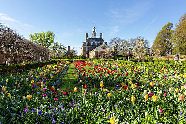 Wall Art - Photograph - The Governor's Palace in Spring by Rachel Morrison