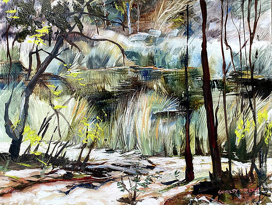 The Grasses at Thirlmere by Shirley Peters The Grasses at Thirlmere by Shirley Peters